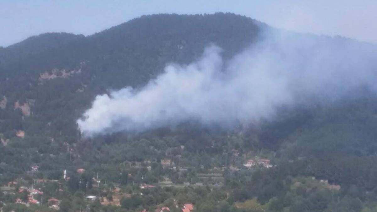 225 orman yangınından 220'si kontrol altında