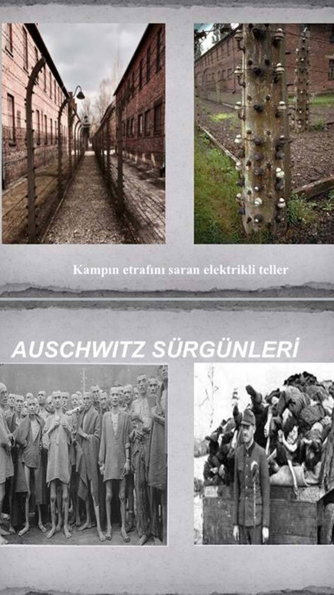 Auschwitz-Birkenau Devlet Müzesi (İşkence Müzesi)
