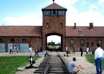 Auschwitz-Birkenau Devlet Müzesi (İşkence Müzesi)
