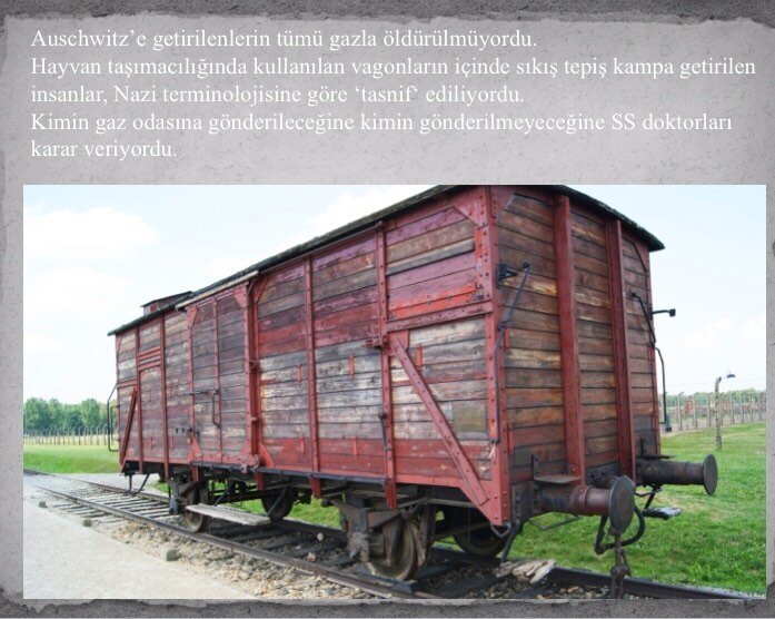 Mahkûmların çoğu gazla öldürülmüyordu. Kimin gaz odasına kimin krematoryuma gidileceği oranın ünlü doktorları tarafından belirleniyordu.