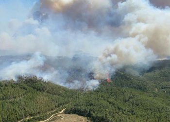 Bu son 1 hafta, neden bu hafta ?