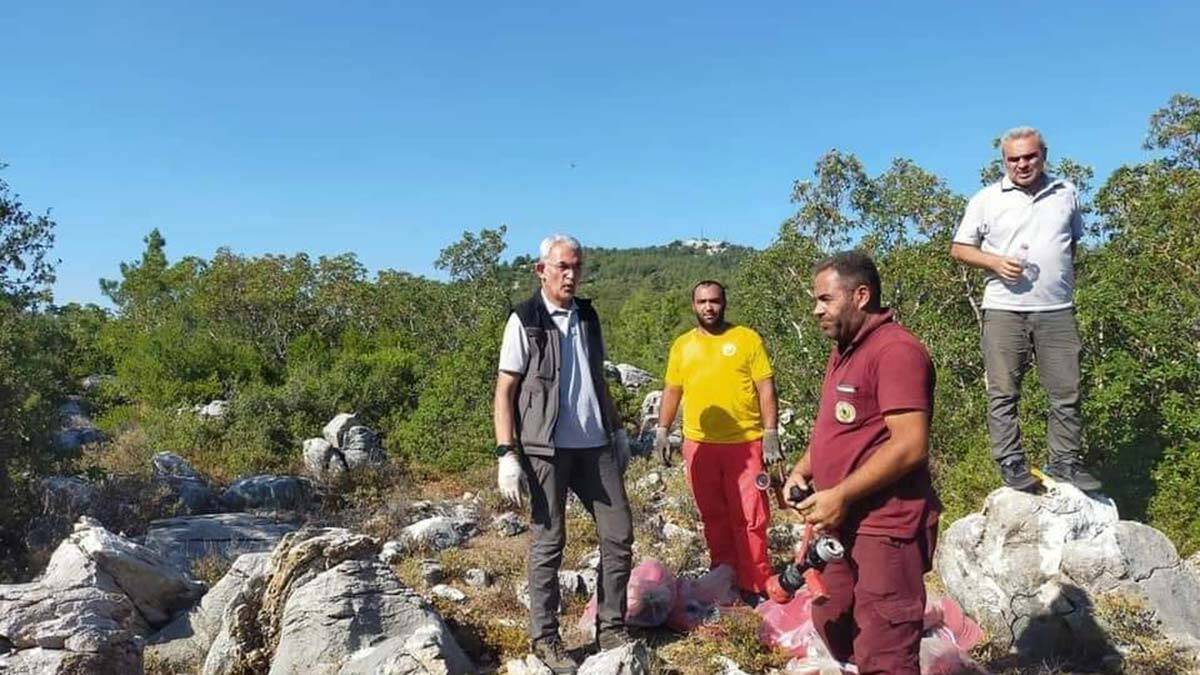 299 orman yangınının tamamı kontrol altına alındı