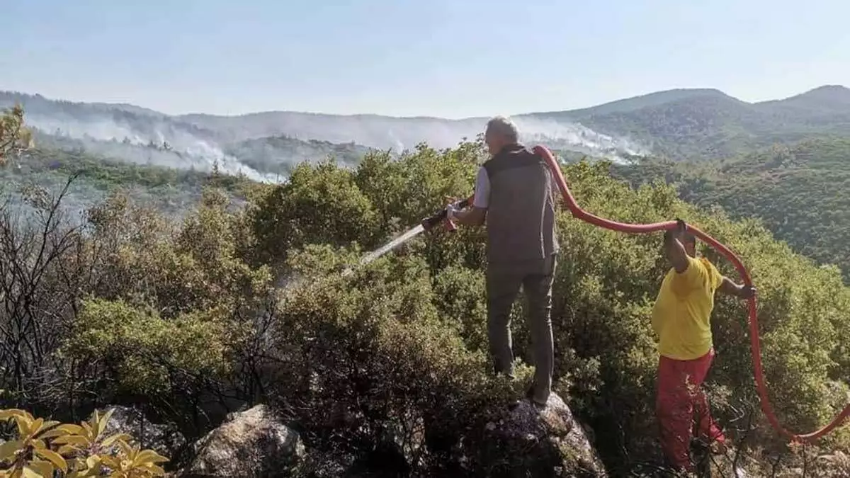 299 orman yangininin tamami kontrol altina alindi 2 - öne çıkan - haberton