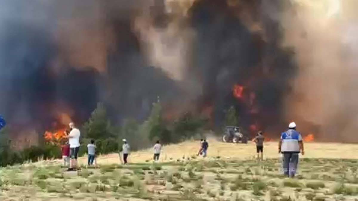 3 ilde daha orman yangını çıktı