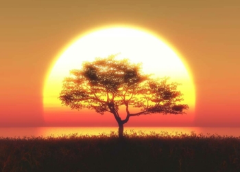 Uyanış: Her şafak, bir güneşe gebedir