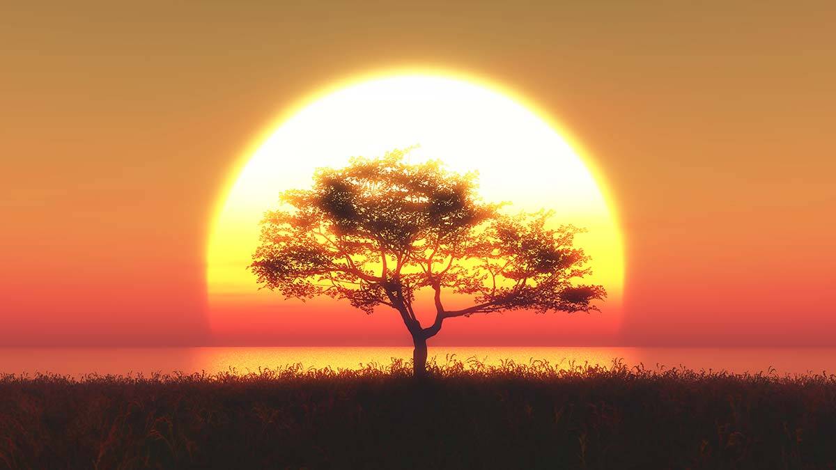 Uyanış: Her şafak, bir güneşe gebedir