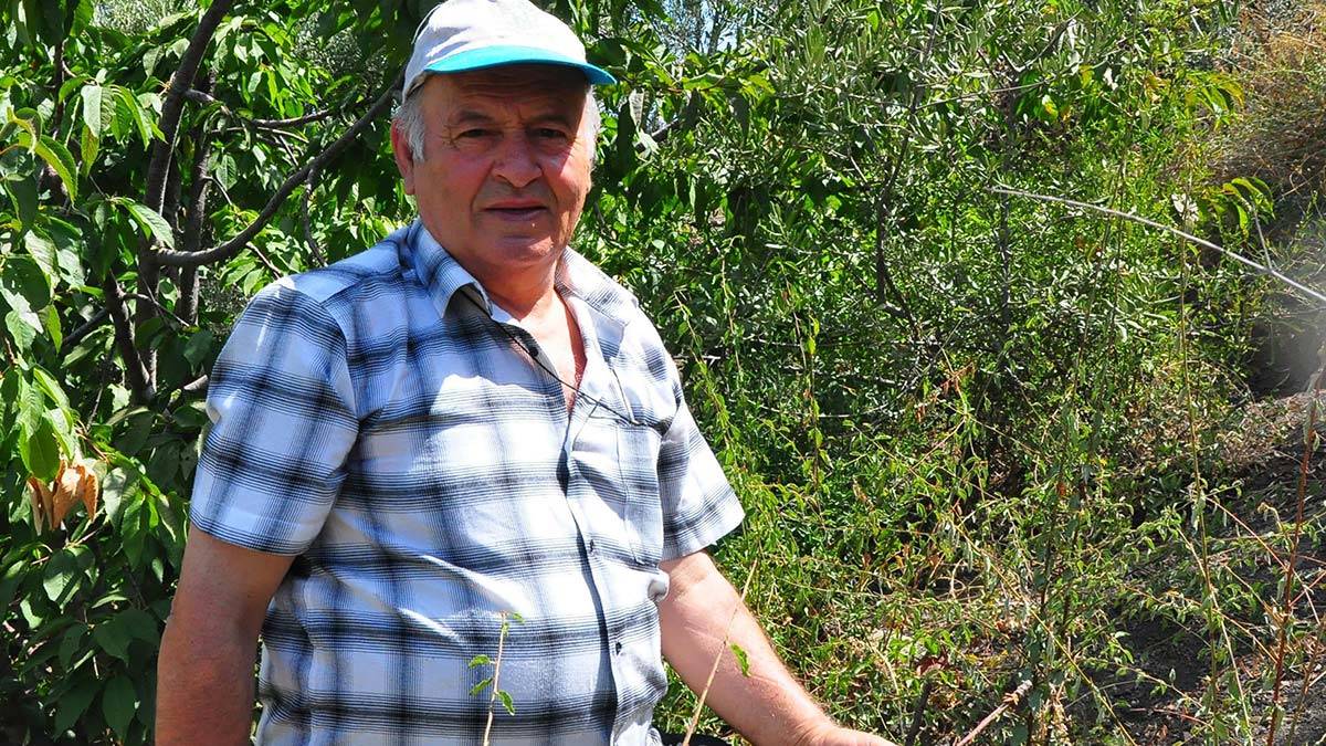 42 yıldır Spil Dağı'nda fidan dikiyor