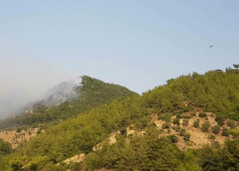 5 ilde 13 orman yangınına müdahale sürüyor