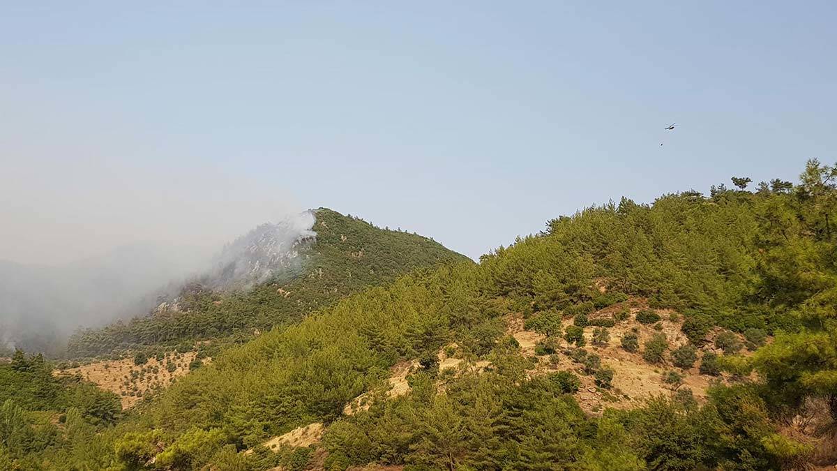 5 ilde 13 orman yangınına müdahale sürüyor