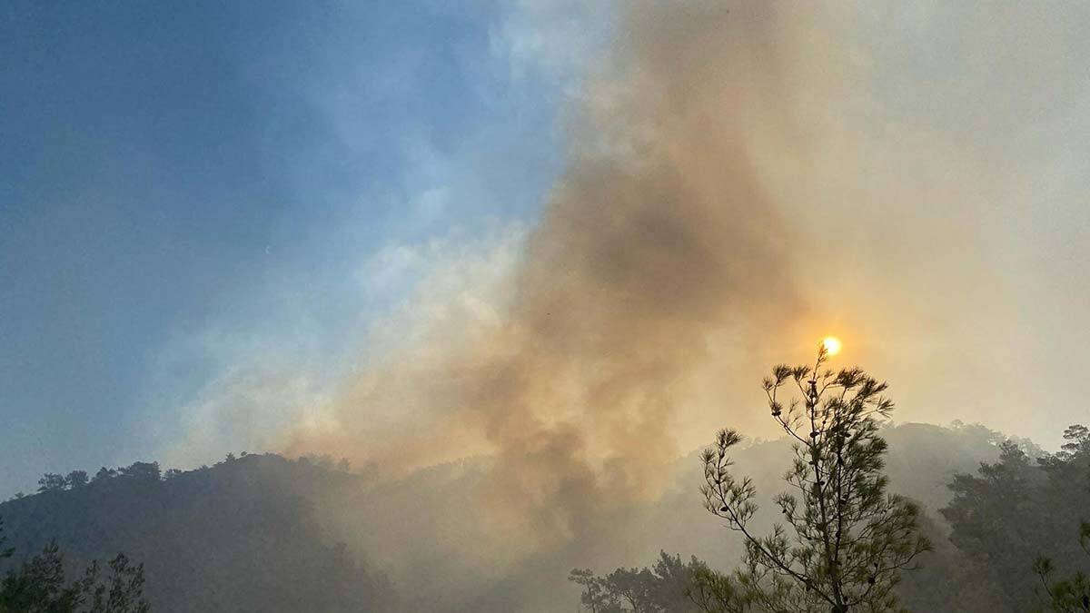 AB Komisyonu Türkiye'ye 3 uçak gönderiyor