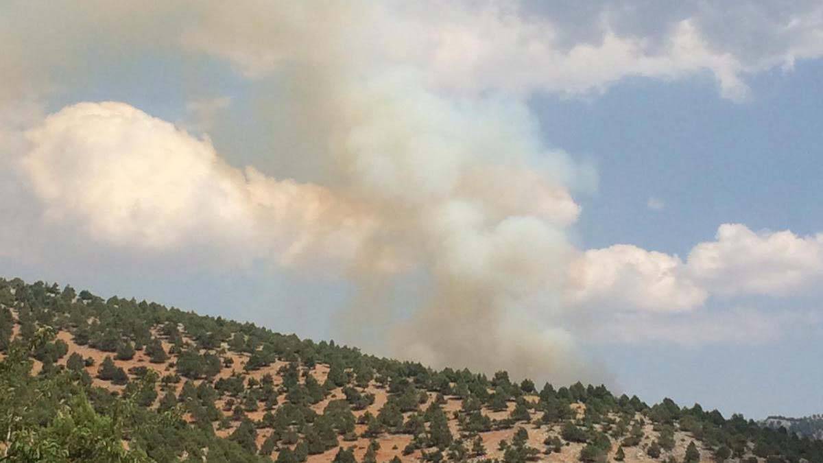 Adana'da orman yangını çıktı