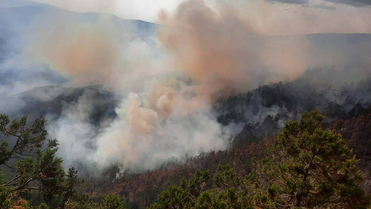 Adana'da orman yangını kontrol altında