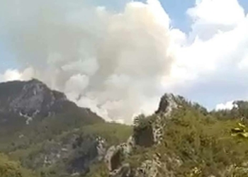 Alanya'da orman yangını çıktı