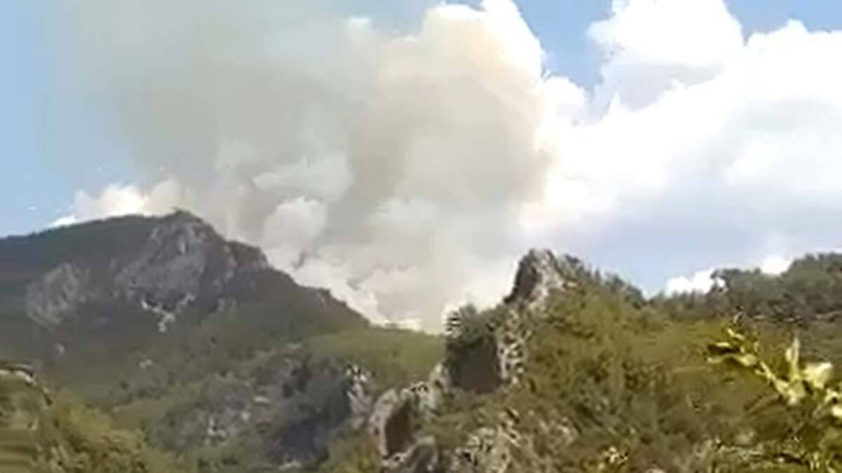 Alanya'da orman yangını çıktı