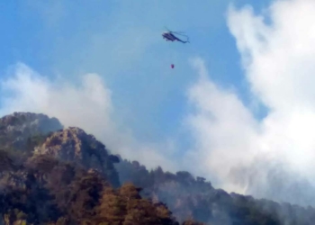 Alanya'da orman yangını: 8 hektar alan zarar gördü