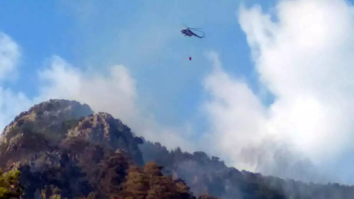 Alanya'da orman yangını: 8 hektar alan zarar gördü