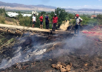 Alaşehir'de 10 dekar üzüm bağı ve zeytinlik yandı