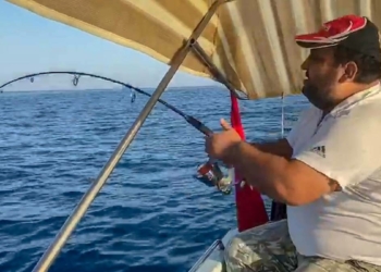 Amatör balıkçı 30 kilogramlık kuzu balığı yakaladı