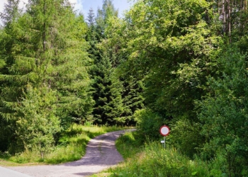Ankara'da ormanlara giriş yasaklandı