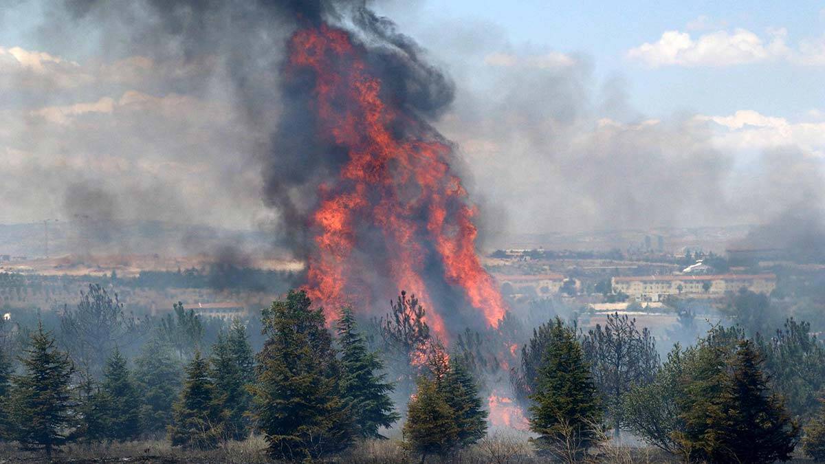 Ankara'da yangın şüphelisine en az 10 yıl hapis istemi