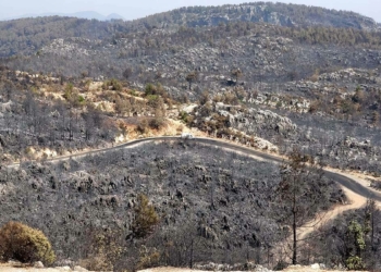 Antalya'daki yangınlar