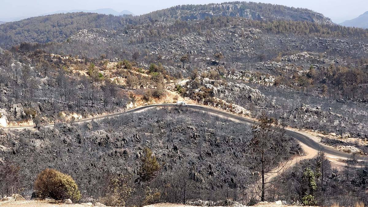 Antalya'daki yangınlar