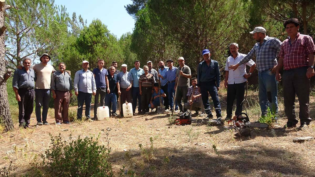 Aydın'da orman yangınlarına karşı teyakkuz