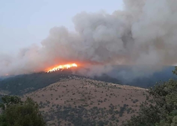 Aydın'daki yangında ekiplerin alevlere müdahalesi sürüyor
