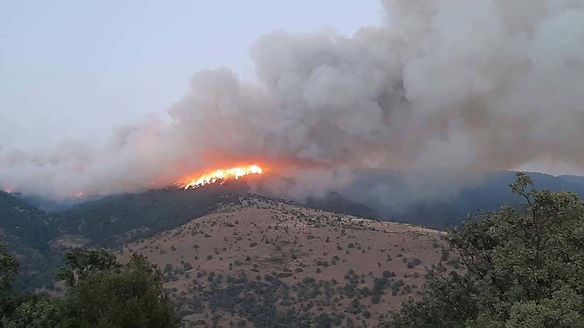Aydın'daki yangında ekiplerin alevlere müdahalesi sürüyor