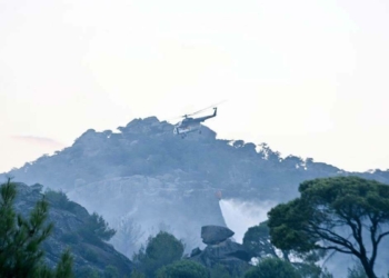 Aydın'daki orman yangını kontrol altında