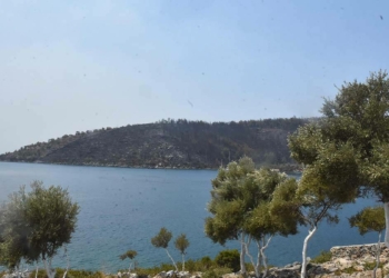 Bakan Ersoy yanan orman arazileri ile ilgili konuştu