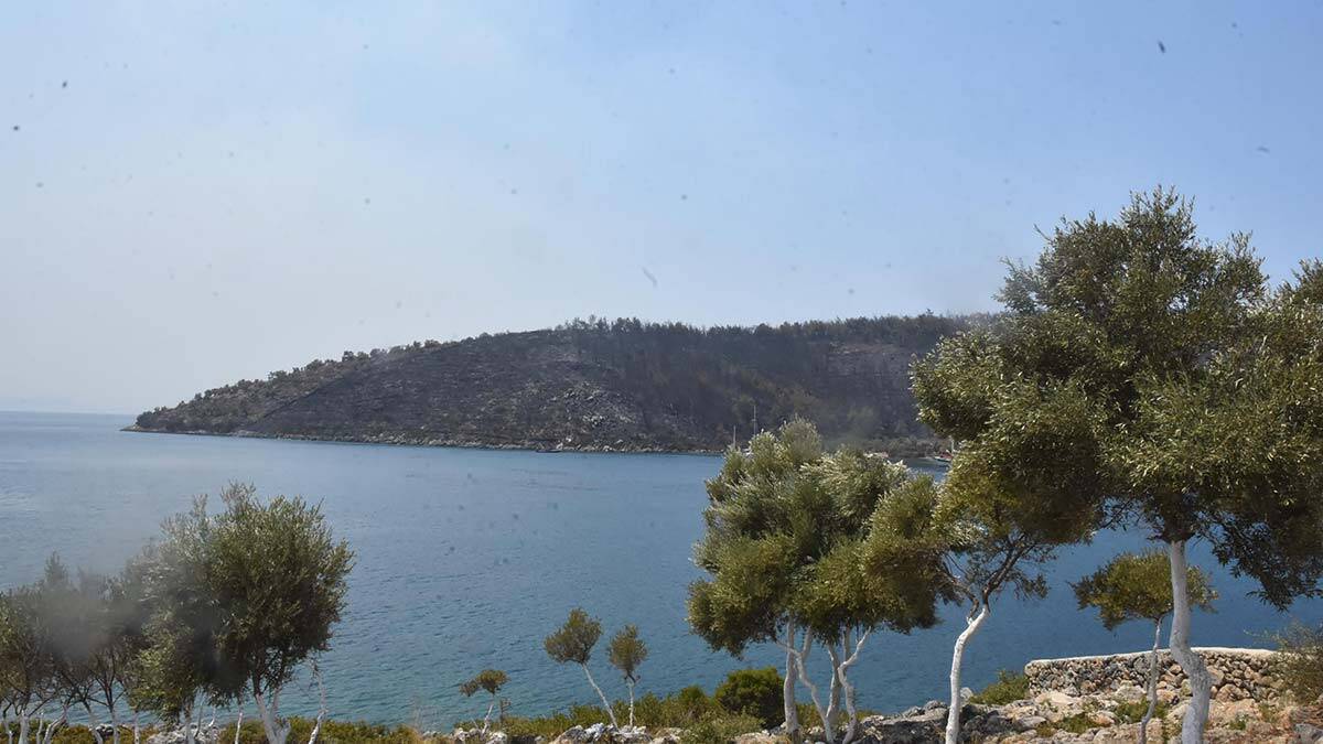 Bakan Ersoy yanan orman arazileri ile ilgili konuştu