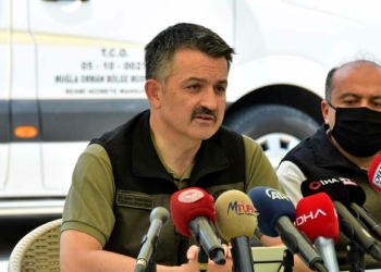 Bakan: Milas'taki yangın önemli tehlike arz etmiyor