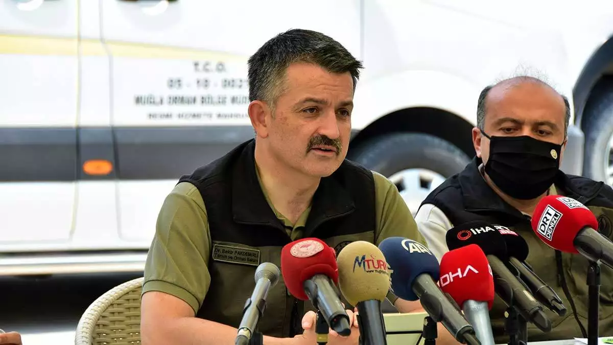 Bakan: milas'taki yangın önemli tehlike arz etmiyor