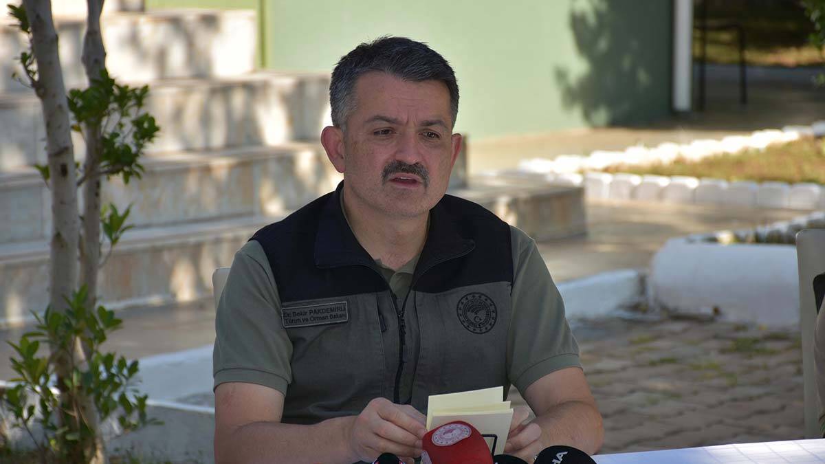 Bakan: Sinsice yayılan yangın söz konusu