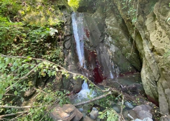 Bartın’da keşfedilen şelale turizme kazandırılacak_2