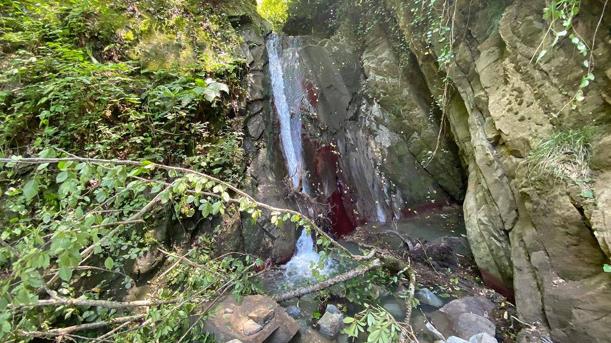 Bartın’da keşfedilen şelale turizme kazandırılacak_2