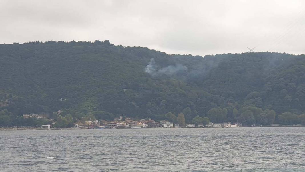 Beykoz'da orman yangını çıktı