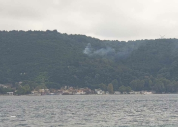 Beykoz'da orman yangını çıktı