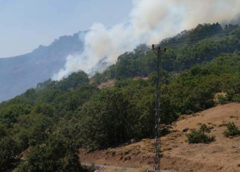 Beykoz'daki yangın söndürüldü