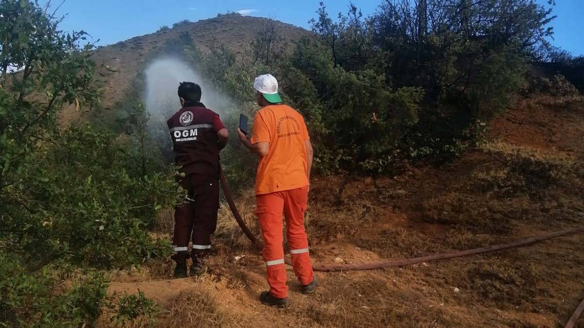 Bingöl'de köyde çıkan yangın söndürüldü_