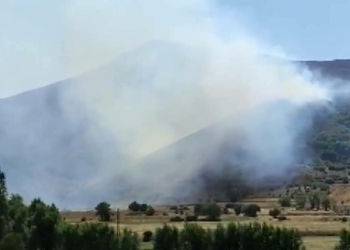 Bitlis'te 2 ayrı noktada örtü yangını çıktı