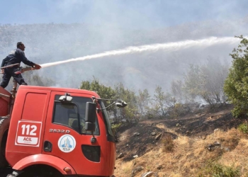 Bitlis'teki yangına müdahale sürüyor