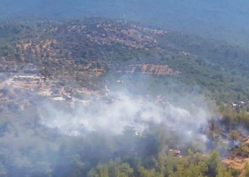 Bodrum'da ağaçlık alanda yangın çıktı