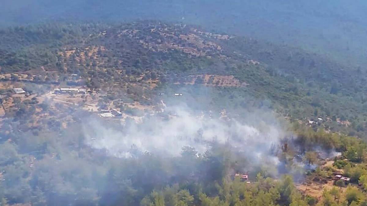 Bodrum'da ağaçlık alanda yangın çıktı