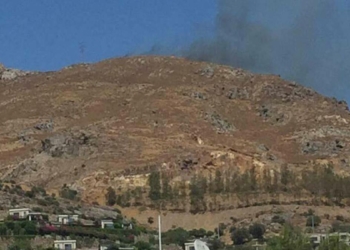 Bodrum'da makilik alanda yangın