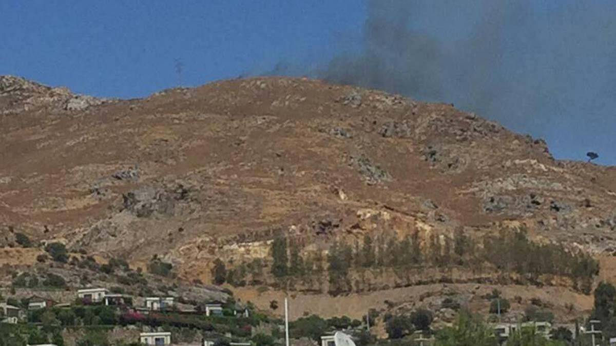 Bodrum'da makilik alanda yangın
