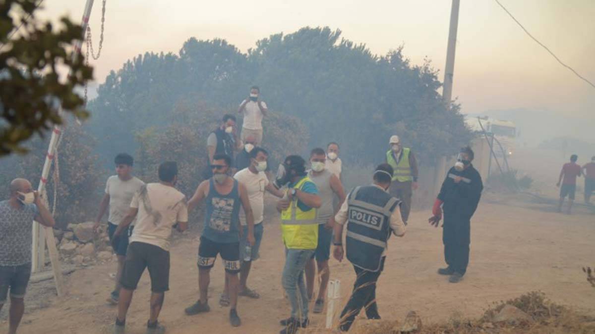 Bodrum'daki yangın kontrol altına alındı