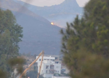 Bodrum'daki yangın kontrol altına alındı