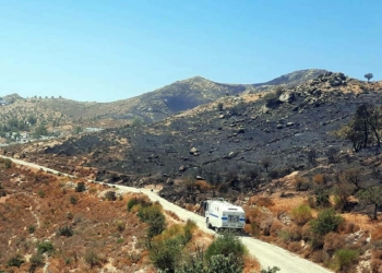 Bodrum'daki yangında 20 hektar makilik alan yandı